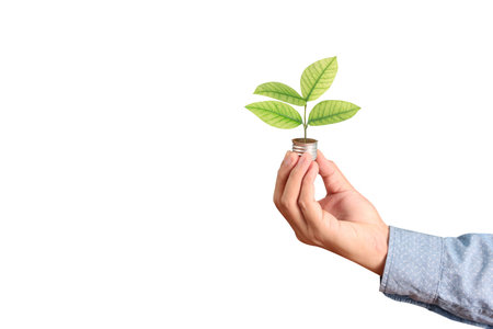 holding lightbulb in a handの写真素材