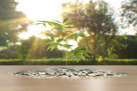 graph coins stock finance and business conceptの写真素材
