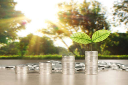 graph coins stock finance and business conceptの写真素材