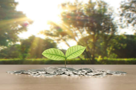 graph coins stock finance and business conceptの写真素材