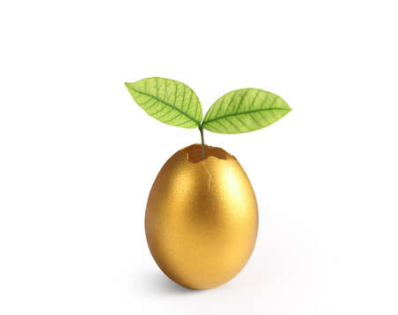 golden a easter egg isolatedの写真素材