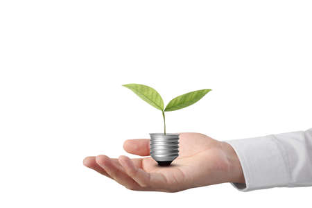 hand holding a light bulb with energy の写真素材