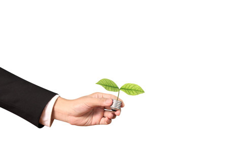 A hand holding the base of a light bulb with green tree, energy conceptの写真素材
