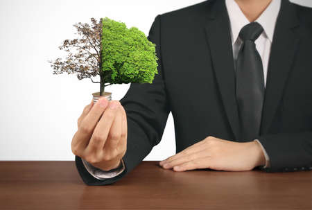 hand holding a light bulb with energy の写真素材