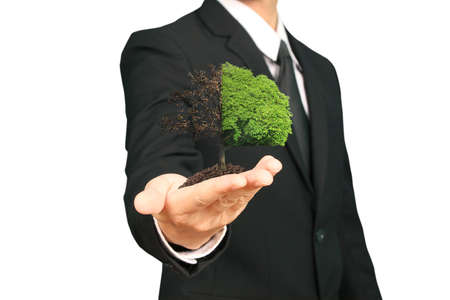 human hands holding sprout,plant の写真素材