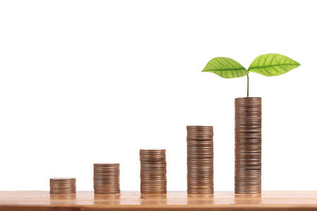 graph money coins stock finance and business conceptの写真素材