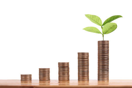 graph money coins stock finance and business conceptの写真素材