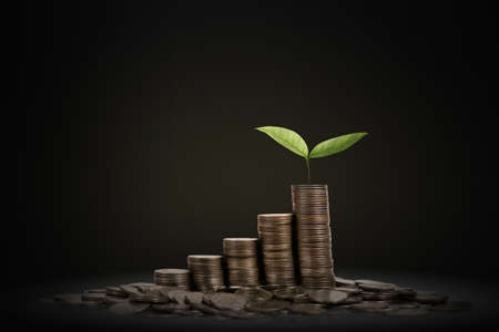 coins stacked on each other different positions,money stock step up growingの写真素材