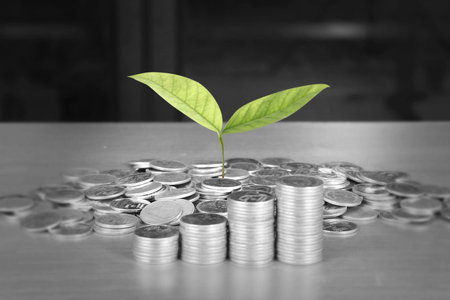 graph coins stock finance and business concept