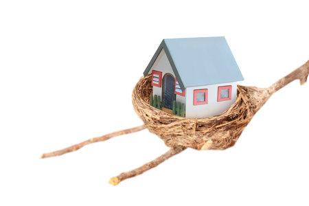 little house on nest made from rice straw on a gradient