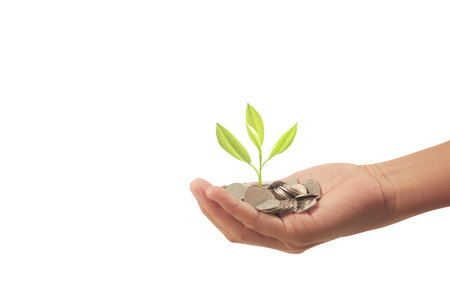 Money plant growing from coins in hand, business ideaの写真素材