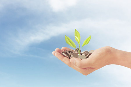 Money plant growing from coins in hand, business idea