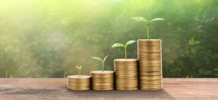 Growing plant on coins. finance and investment concep