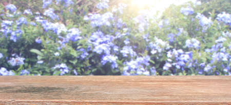 Nature background, Wood table display over blur green tree gardenの写真素材