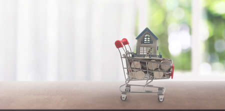 Toy shopping cart with Model of house on coins and delivery concept. Consumer society trendの写真素材