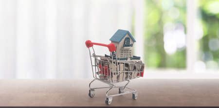 Toy shopping cart with Model of house on coins and delivery concept. Consumer society trendの写真素材