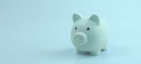 Piggy bank and finance money savingの写真素材