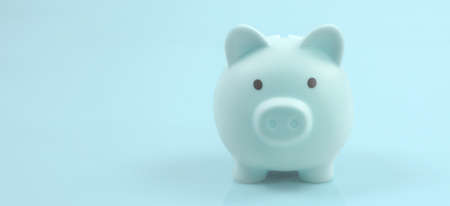 Piggy bank and finance money savingの写真素材
