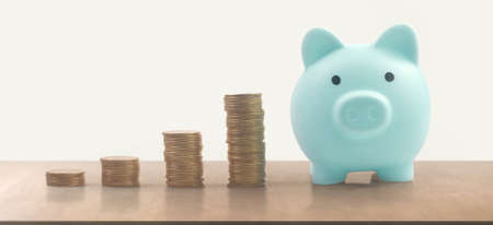 Coin with trading graph, financial investment concept and a Piggy bankの写真素材