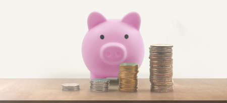 Coin with trading graph, financial investment concept and a Piggy bankの写真素材