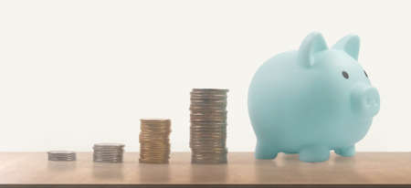 Coin with trading graph, financial investment concept and a Piggy bankの写真素材