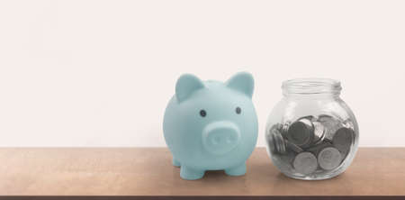 Coin with trading graph, financial investment concept and a Piggy bankの写真素材