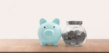 Coin with trading graph, financial investment concept and a Piggy bankの写真素材