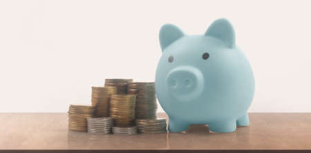 Coin with trading graph, financial investment concept and a Piggy bankの写真素材