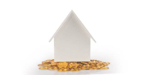 Model of detached miniature house mock up and coins. property real estate investment conceptの写真素材