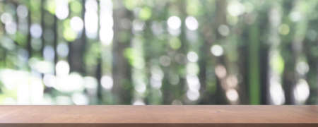 Model of detached miniature house mock up and coins. property real estate investment conceptの写真素材