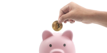 Bitcoin with financial investment in hand  concept and Piggy bankの写真素材