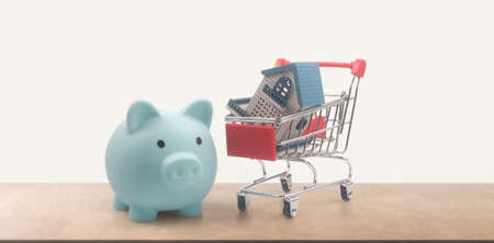Toy shopping cart and Piggy bank. Consumer society trend and Model houseの写真素材