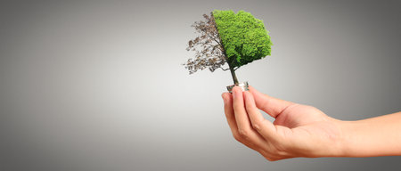 Humans hold light bulbs in hand innovative technology and creativityの写真素材