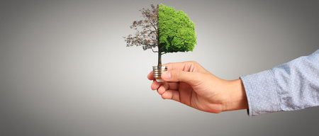 Humans hold light bulbs in hand innovative technology and creativityの写真素材