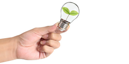 light bulb in a hand Business Concepts, Business Approaches and Success in Finance, Banking and Investmentの写真素材