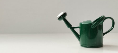 Watering plants with a green watering can indoor garden still life minimalist space close-up growth...