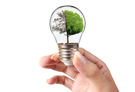 light bulb in a hand Business Concepts, Business Approaches and Success in Finance, Banking and...