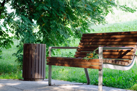 empty park bench next to rowan bush on an early summer morning.