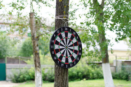 target darts on a tree summer dayの写真素材