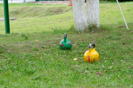 Green and yellow athletic kettlebell on green grassの写真素材
