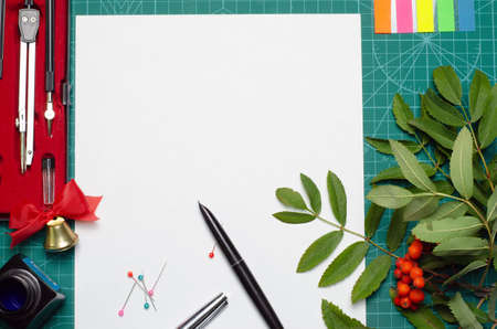 background back to school top view with place for text on a white sheet of paper ink pen rowan branch and set of compasses metal bell with red bow and small colored needles on a green backing for cutting.の写真素材