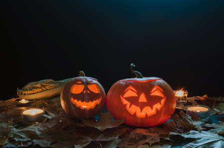 Halloween pumpkin head jack with candles lantern on a dark background with autumn leaves and corn horizontalの写真素材