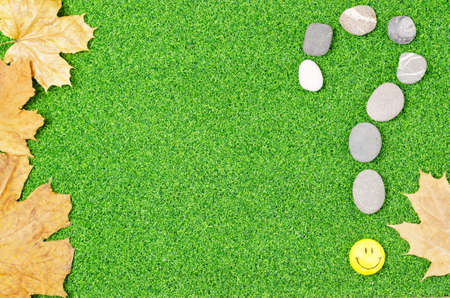 question mark laid out of sea stones on green grass with a smiley and autumn leaves flat layの写真素材