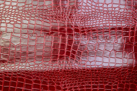 Texture for background red leather crocodile glossy top viewの写真素材