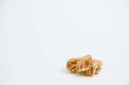 Desert rose on a light background close-up in the studioの写真素材