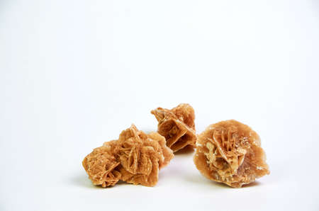 Desert rose on a light background close-up in the studioの写真素材