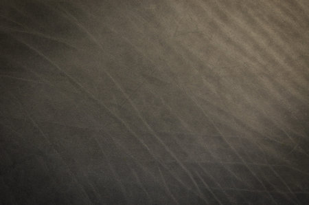 Dark gray cattle skin texture with empty place for text top view, background for your text