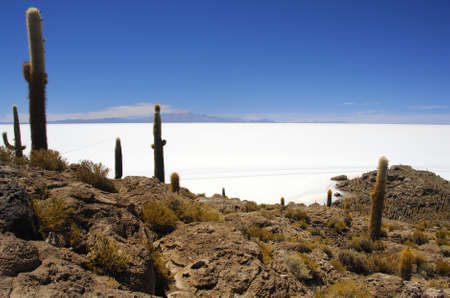 Isla Pescada in the middle of the Salar de Uyuni, the largest salt plain in the worldの写真素材