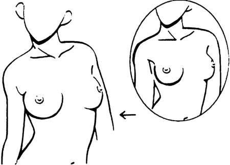 Tutorial of drawing a female body. Drawing the human body, step by step lessons. Female breast drawing tutorial. Drawing a woman's body with an emphasis on breasts.の写真素材