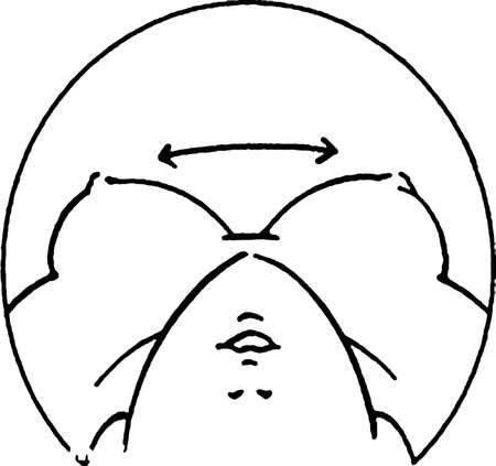 Tutorial of drawing a female body. Drawing the human body, step by step lessons. Female breast drawing tutorial. Drawing a woman's body with an emphasis on breasts.の写真素材